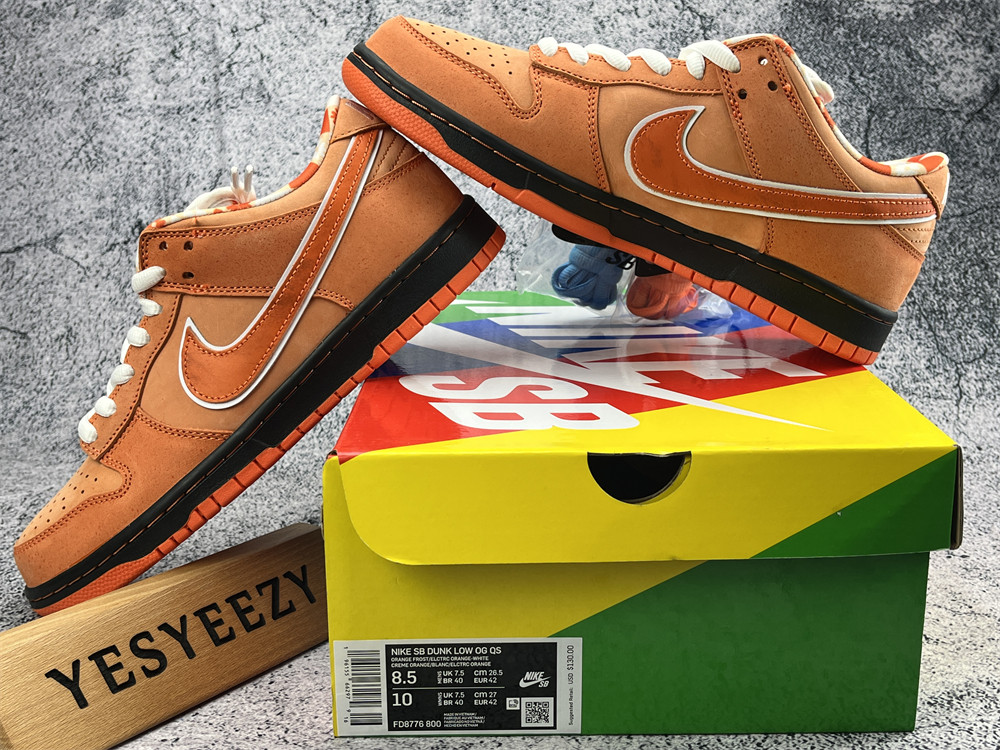 UA NIKE CONCEPTS X DUNK LOW SB 