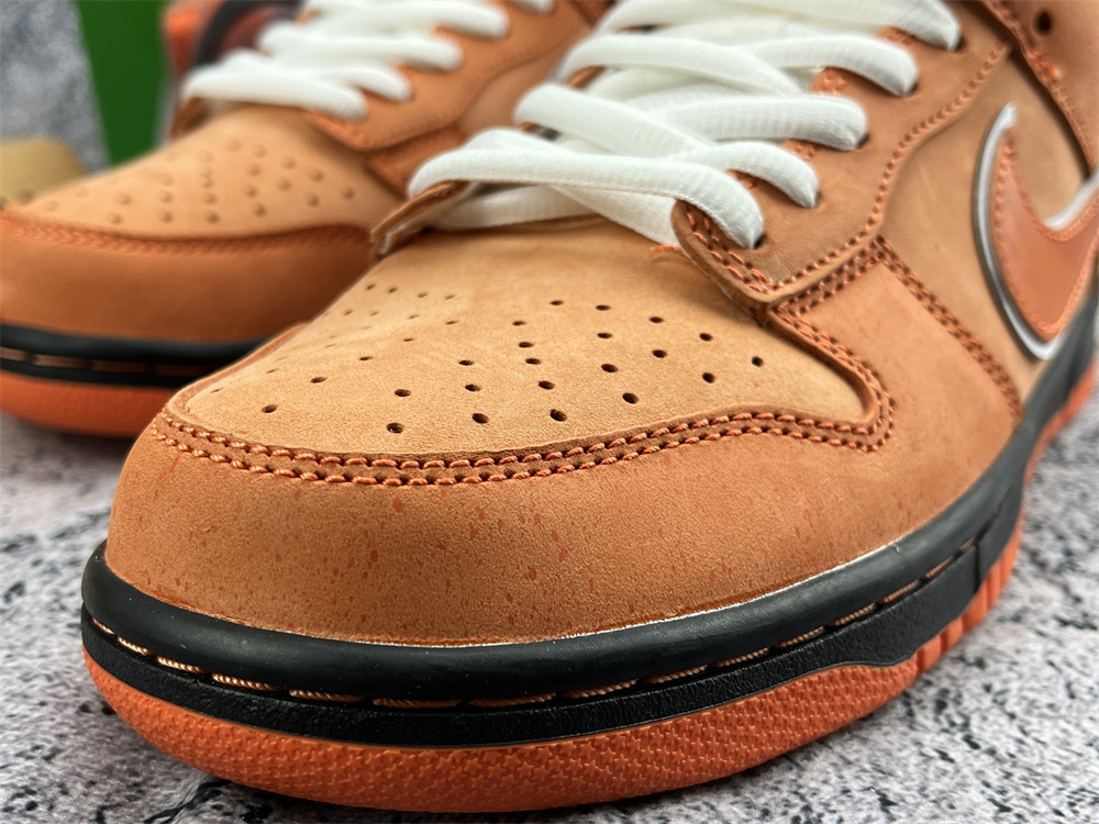 UA NIKE CONCEPTS X DUNK LOW SB 