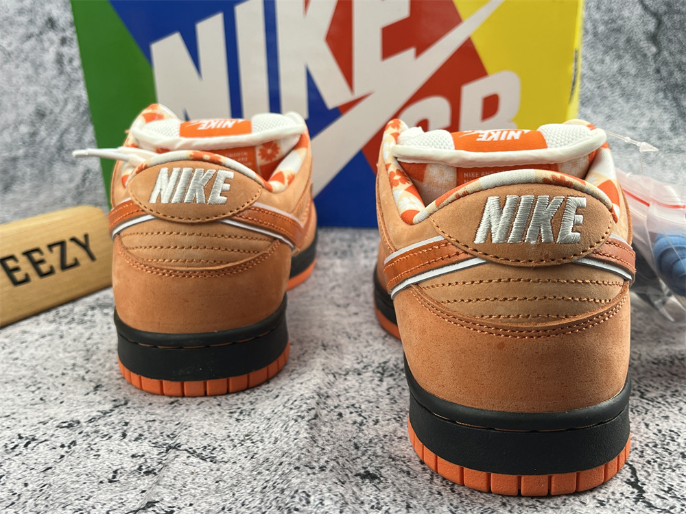 UA NIKE CONCEPTS X DUNK LOW SB 