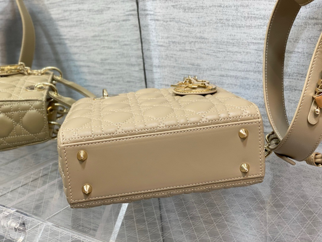 Medium Lady D10r Bag 24 x 20 x 12 cm