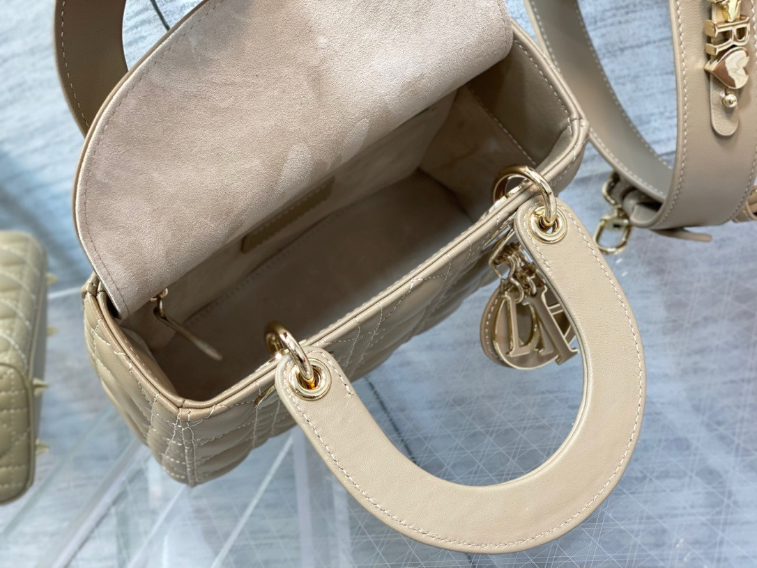 Medium Lady D10r Bag 24 x 20 x 12 cm