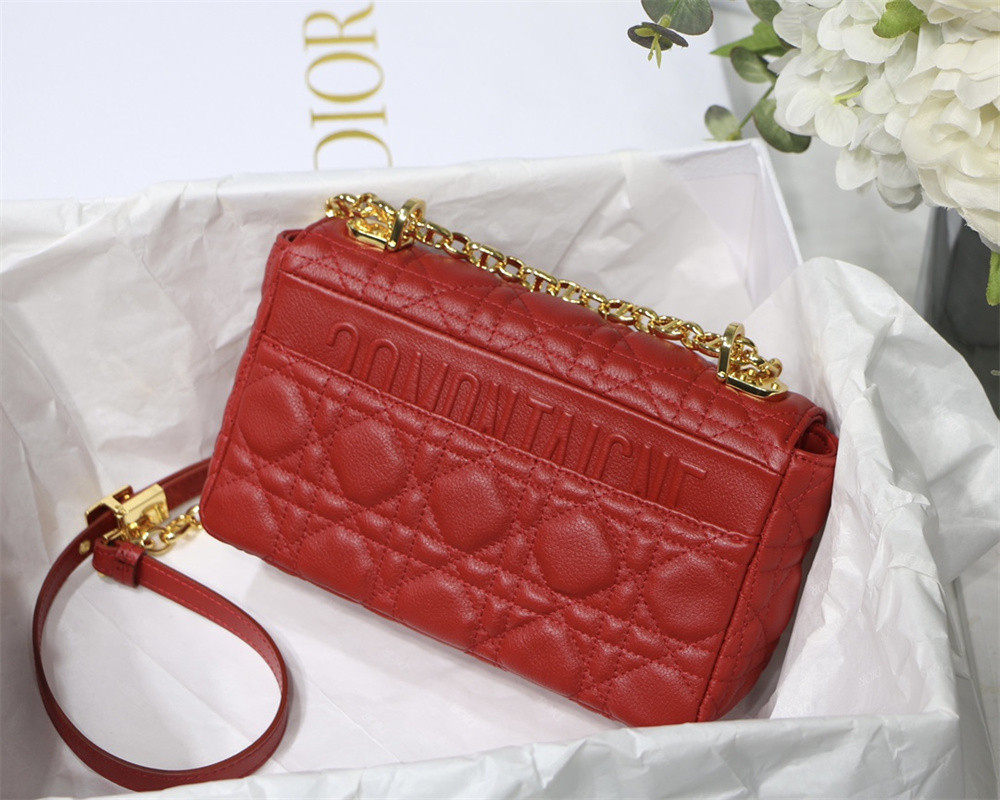 SMALL D10r CARO BAG Red S*pple Cannage Calfskin 20 x 12 x 7 cm