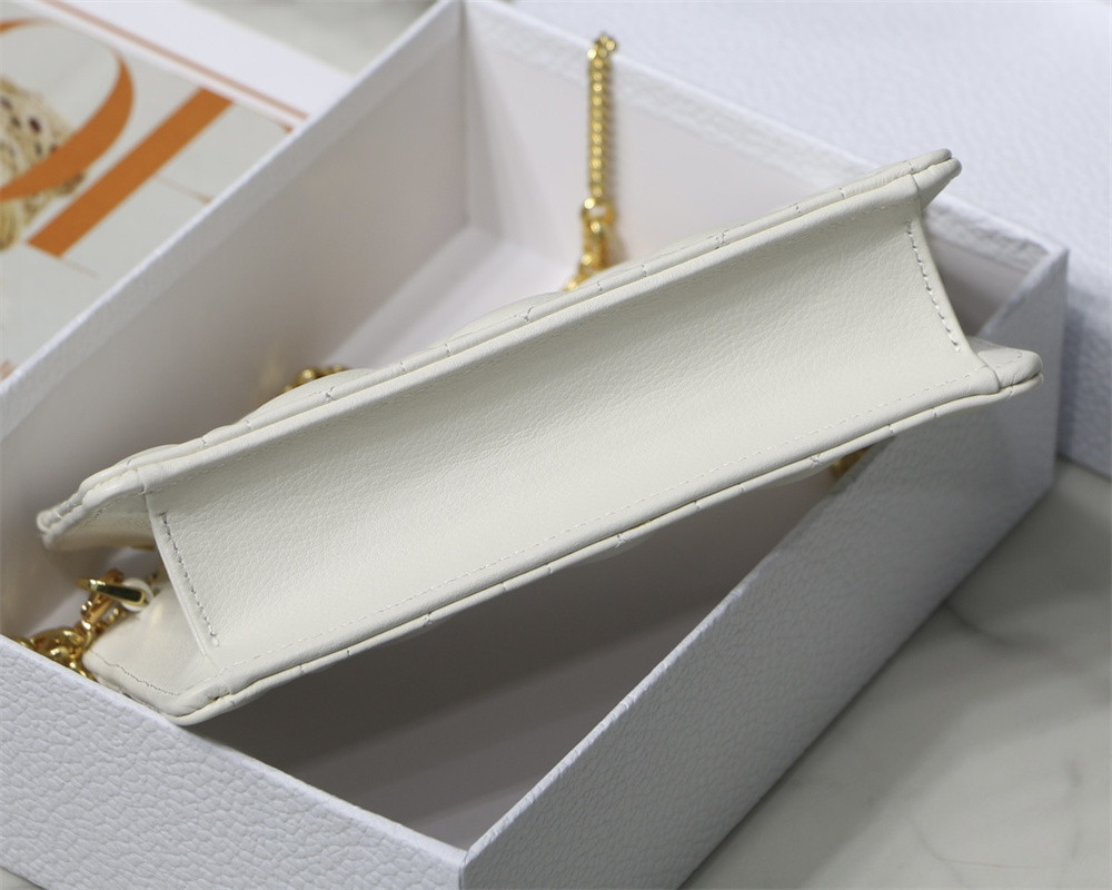 D10r CARO ZIPPED POUCH WITH CHAIN Latte S*pple Cannage Calfskin 19 x 14 x 4.5 cm