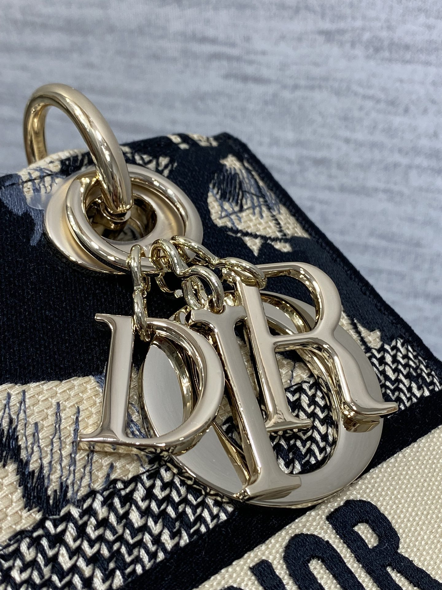 D10r Lady Bag 24x11x20cm