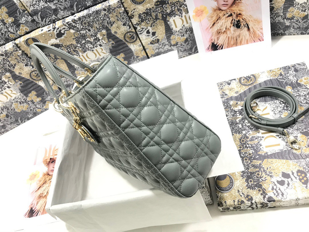 D10r Lady Bag 32 x 25 x 11cm