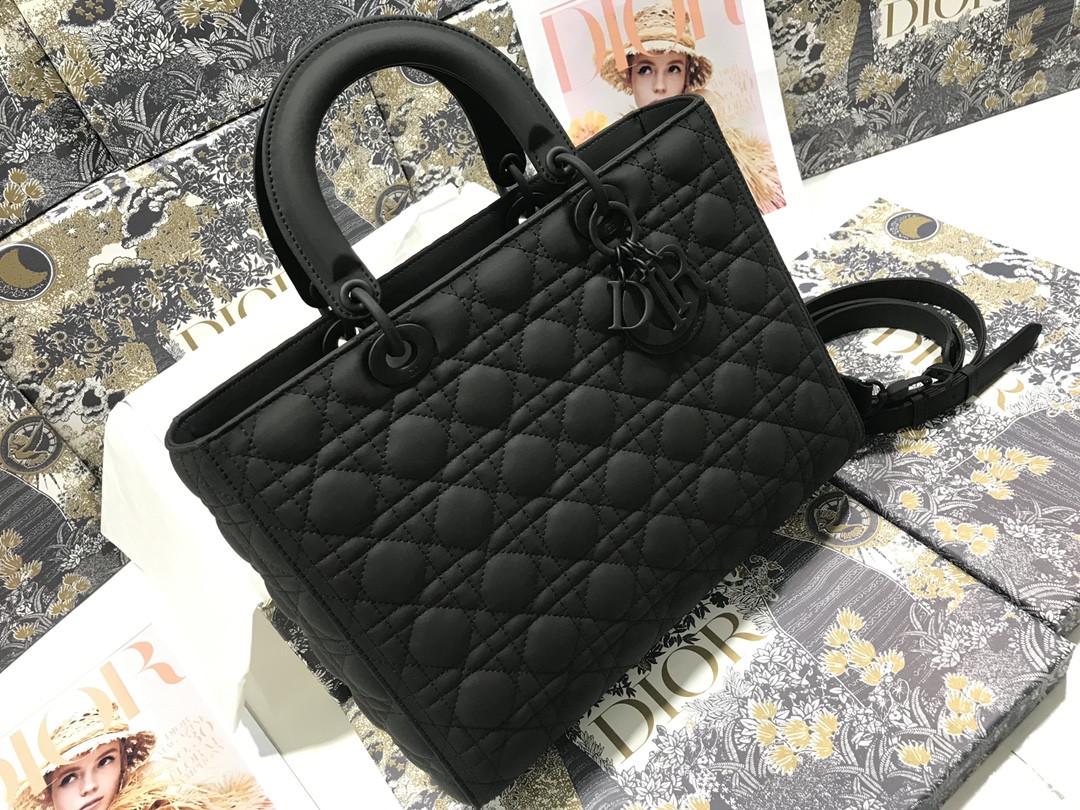 D10r Lady Bag 32 x 25 x 11cm