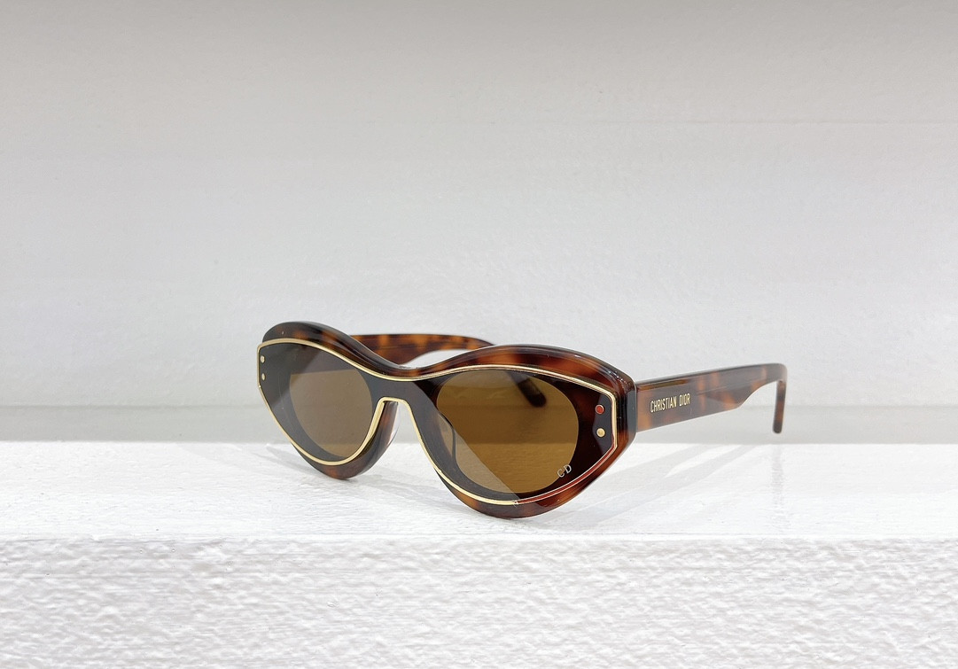 D10r Glasses MeteorB1I 51-21-145