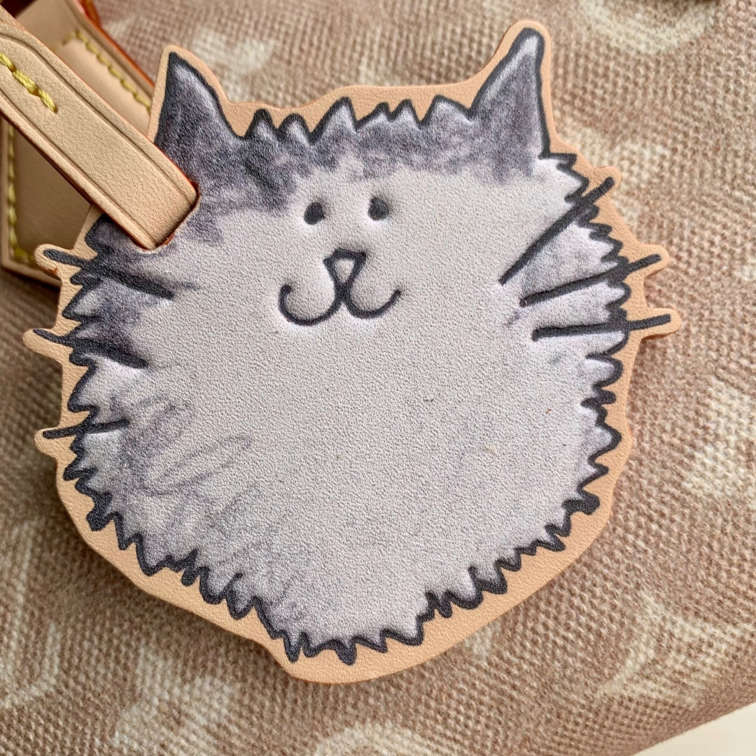 LV Speedy Bandouliere 20 M15151 20.5x13.5x12cm