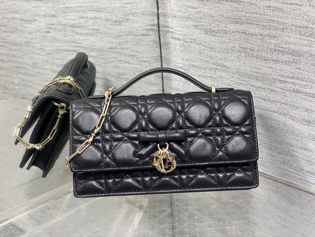 my D10r mini bag 21x11.5x4.5cm