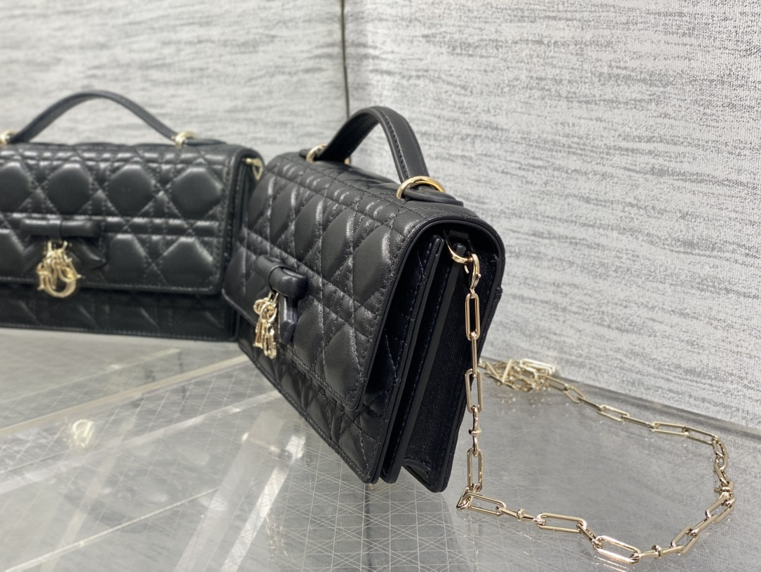 my D10r mini bag 21x11.5x4.5cm