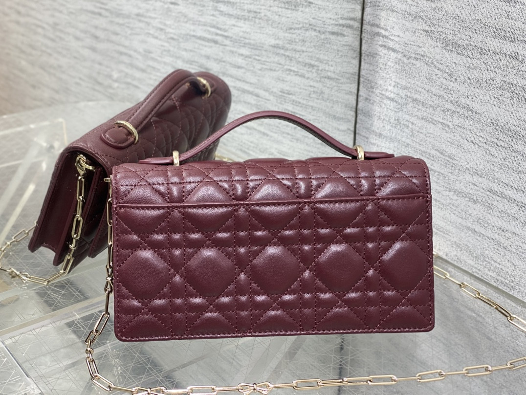 my D10r mini bag 21x11.5x4.5cm