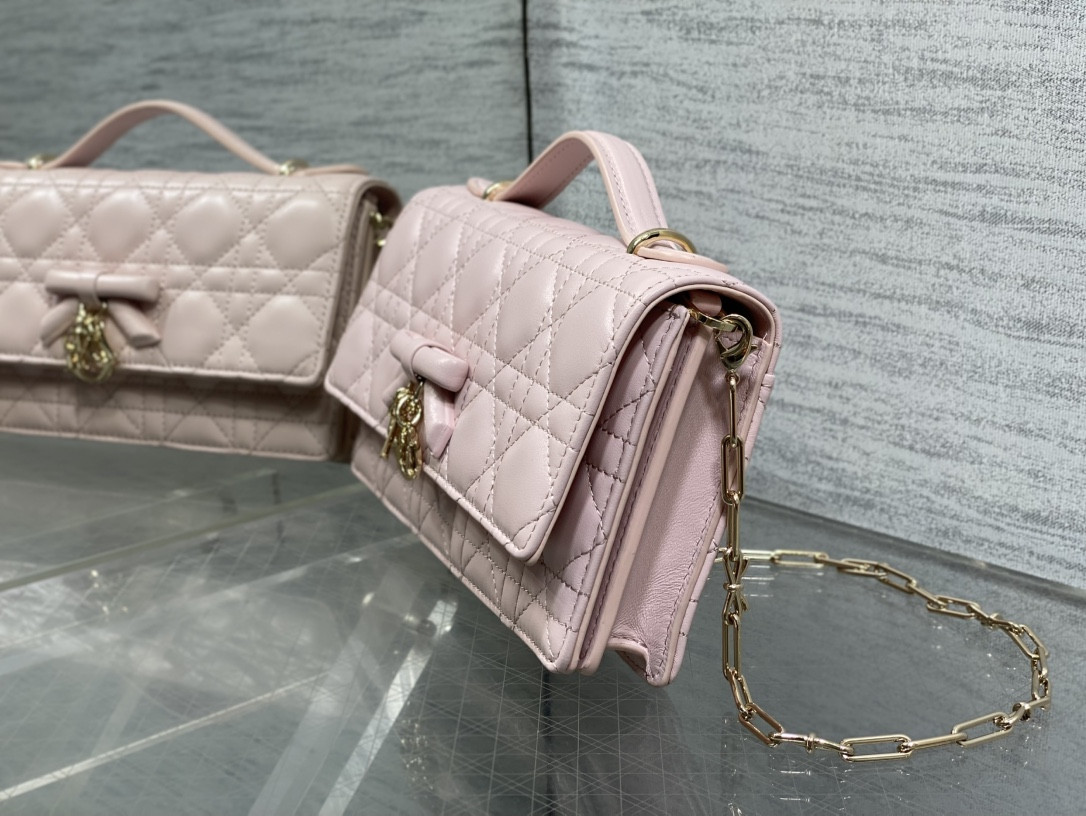 my D10r mini bag 21x11.5x4.5cm