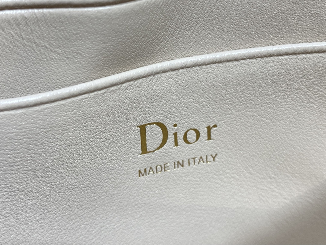 my D10r mini bag 21x11.5x4.5cm