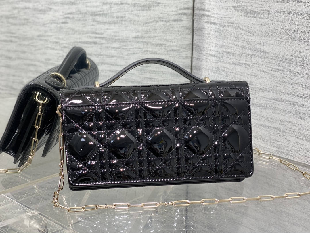 my D10r mini bag 21x11.5x4.5cm