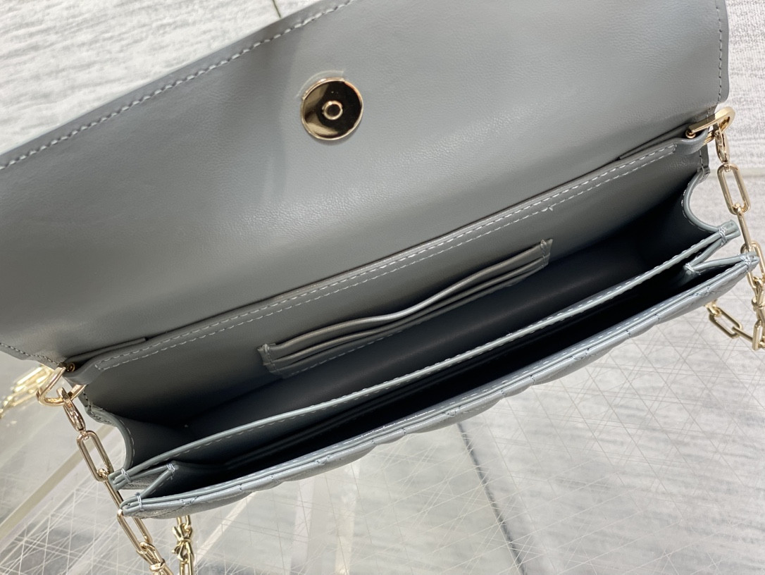 my D10r mini bag 21x11.5x4.5cm